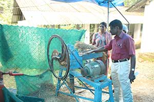 Feed Preparation