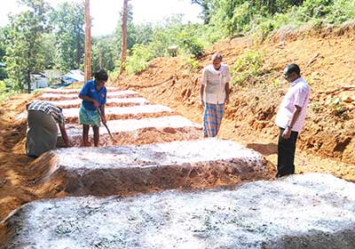 Lead farm planting