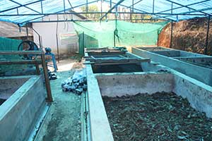 Vermicompost