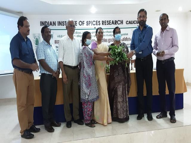 KVK Organised Training on Sweet Potato