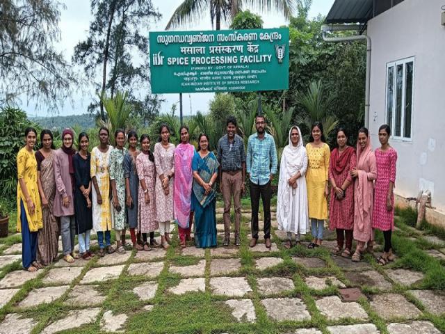 Summer Internship Programme