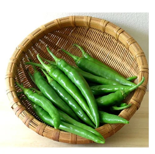 Red chilli peppers