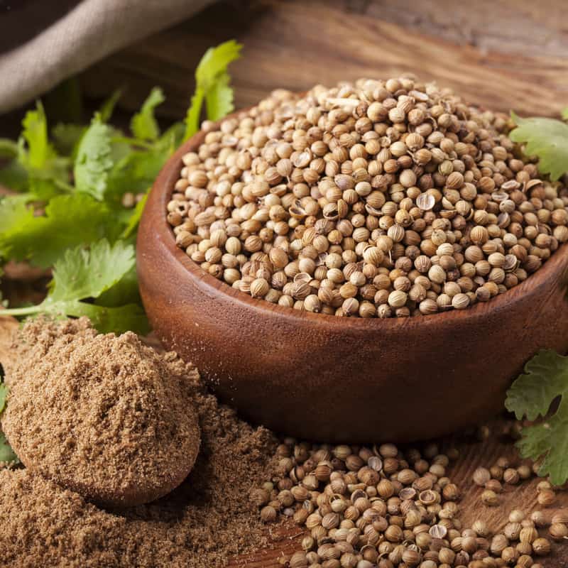 Coriander seeds and fresh leaves