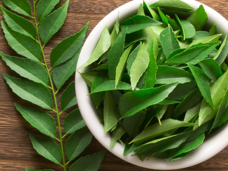 Fresh curry leaves