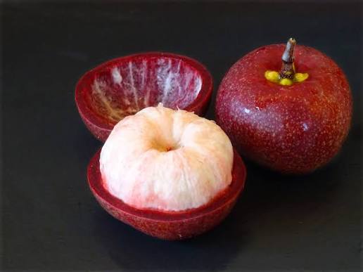 Kokum fruit rind