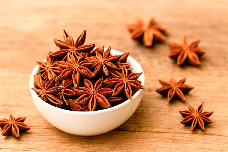 Star Anise star-shaped fruit pods