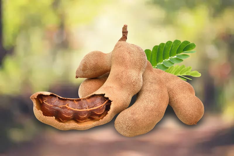 Tamarind fruit pods and pulp