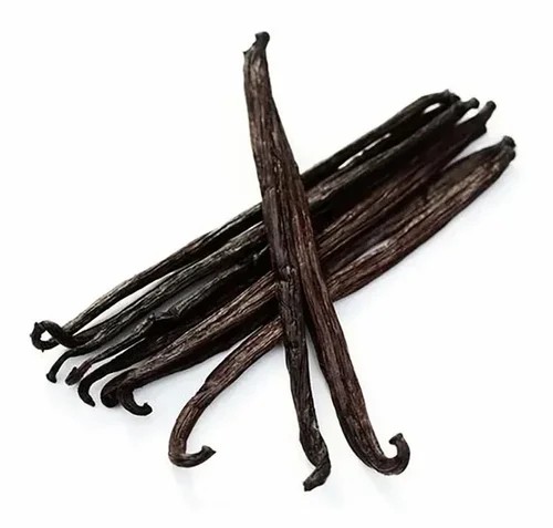Cured dried vanilla beans - Vanilla planifolia