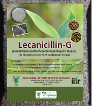 Lecanicillin-G- Lecanicillium psallioatae for biological control of cardamom thrips.