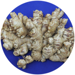IISR-Mahima (Ginger)