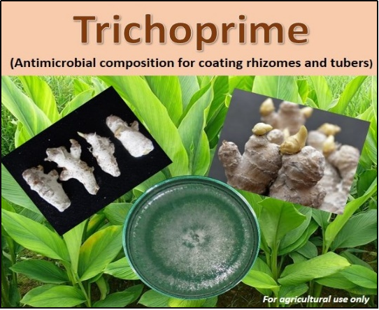 Trichoprime:- Antimicrobial formulation for coating seed rhizomes and tubers