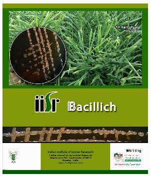 Bacillich- A bioagent for integrated management of bacterial wilt in ginger