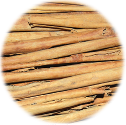Nithyasree (Cinnamon)