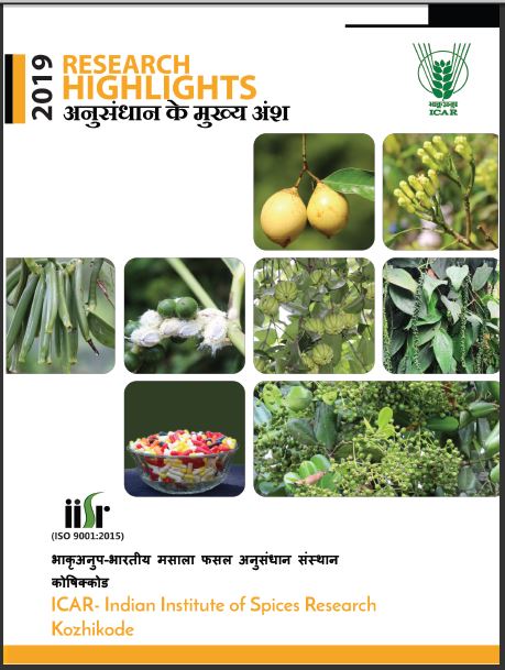 Research Highlights 2019