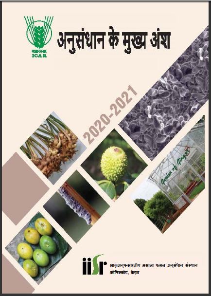 Research Highlights 2020-21